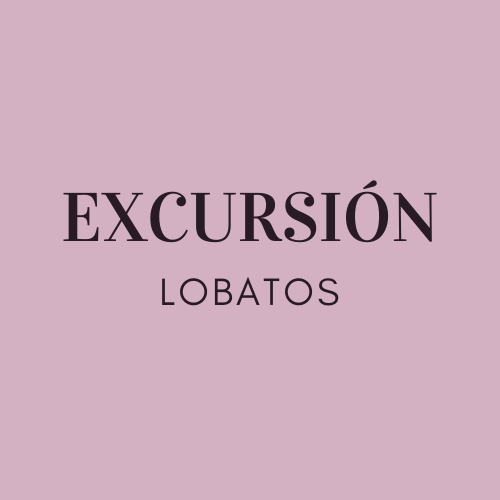 EXCURSIÓN DE LOBATOS